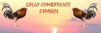 /album/fotogaleria-inicio/descarga-jpg/